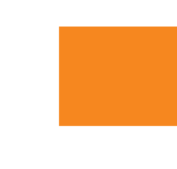 Layer